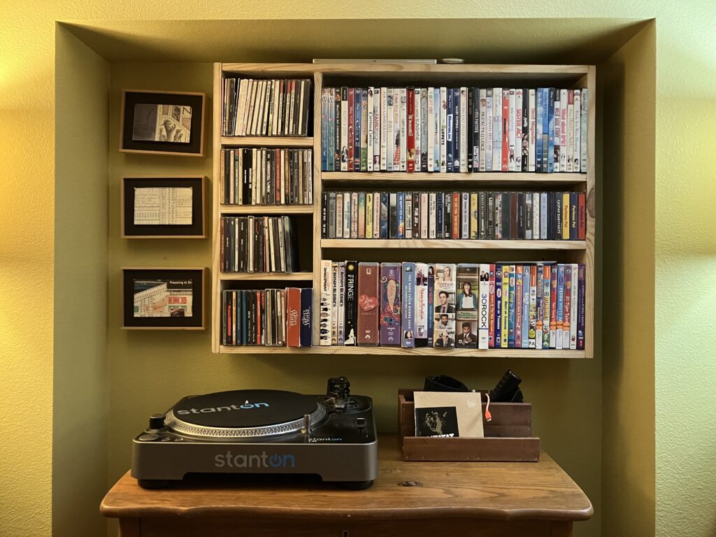 Media shelves. DVDs, CDs, VHS. Small house living.